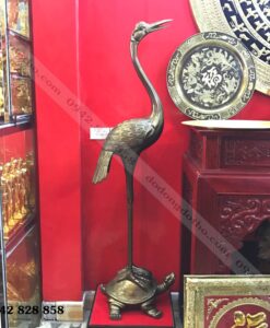 HẠC THỜI NGUYỄN ĐỒNG ĐỎ 1M55