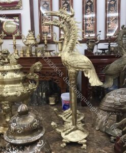 HẠC ĐỒNG VÀNG CATTUT 1M80