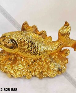 CÁ CHÉP MẠ VÀNG 3