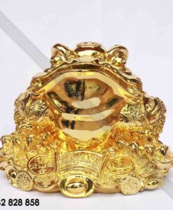 CÓC MẠ VÀNG