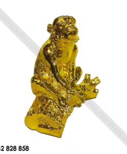 KHỈ MẠ VÀNG 3