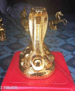 TƯƠNG RẮN MẠ VÀNG 4