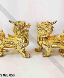 ĐÔI TÌ NGƯU MẠ VÀNG