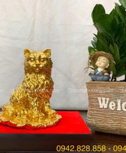 MÈO LÔNG XÙ DÁT VÀNG 9999