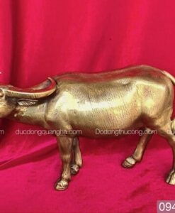 TRÂU TO MÀU GIẢ CỔ