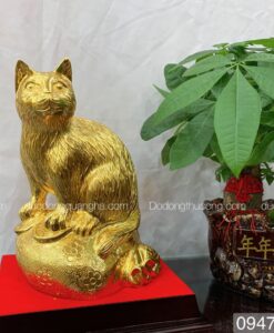 MÈO BỊ TIỀN BÉ DÁT VÀNG 9999