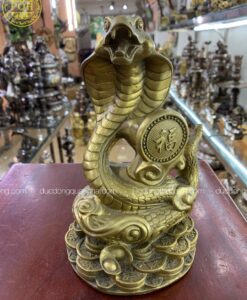 RẮN CHỮ PHÚC BÉ MÀU GIẢ CỔ