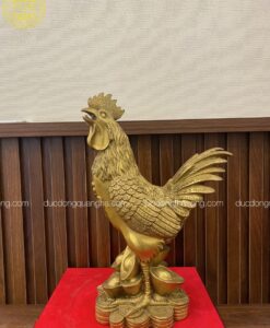 GÀ GIẪM TIỀN VÀNG ĐỒNG VÀNG