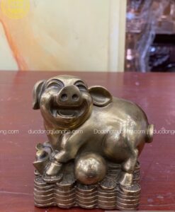 LỢN GIÁP NGỌC MÀU GIẢ CỔ