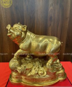 LỢN GIẪM TIỀN ĐỒNG VÀNG KATTUT