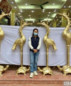 HẠC ĐỒNG VÀNG CAO 2M2