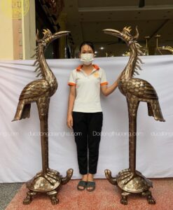 HẠC 1M72 KHẢM NGŨ SẮC